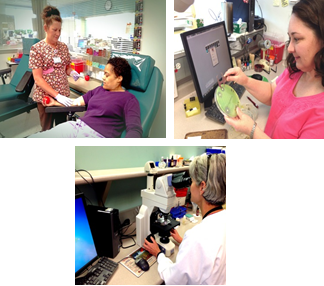 UHC Laboratory Team at work
