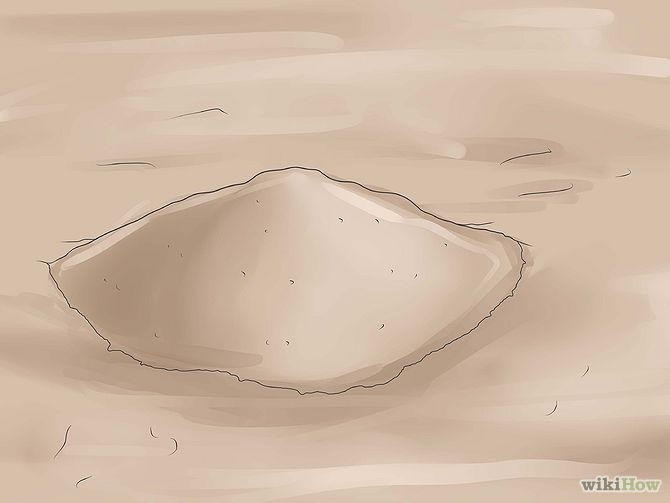 Treat a Fire Ant Sting Step 1 Version 2.jpg