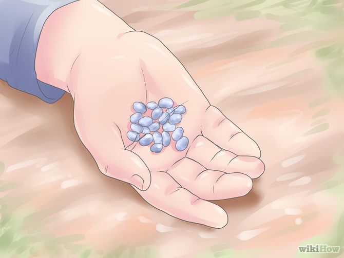 Control Erosion Step 21.jpg