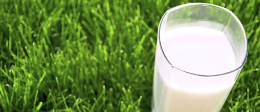 Don't drink raw milk