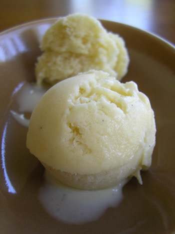 20080413 vanilla icecream.jpg