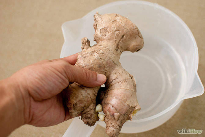 Grow a Ginger Plant Step 2.jpg
