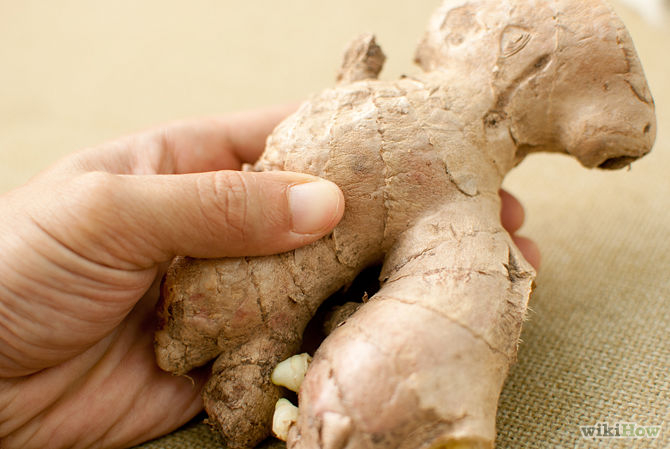 Grow a Ginger Plant Step 1.jpg