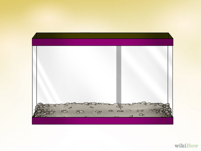 Feed Guppies Step 8 Version 2.jpg