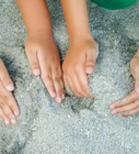 Sandbox
