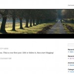 1. Default Wordpress Theme