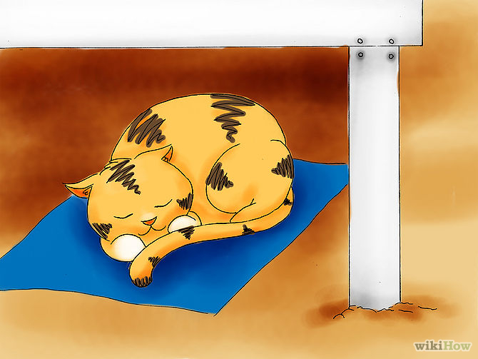 Repel Cats Step 11.jpg