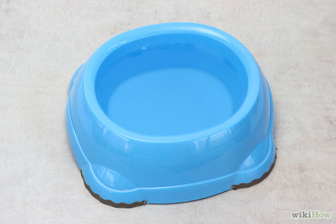 Stop Your Cat's Diarrhea Step 3
