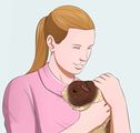 Get Your Guinea Pig to Trust You