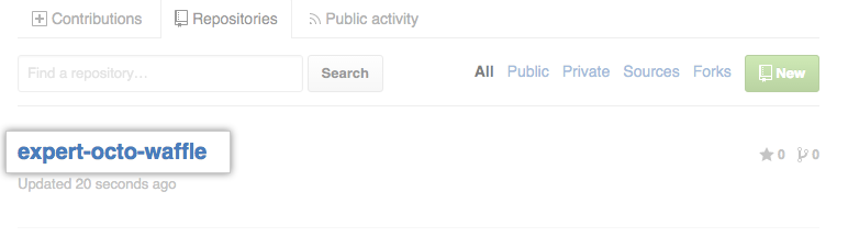 Repositorys