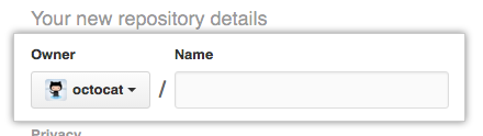 Repository owner menu and repository name field
