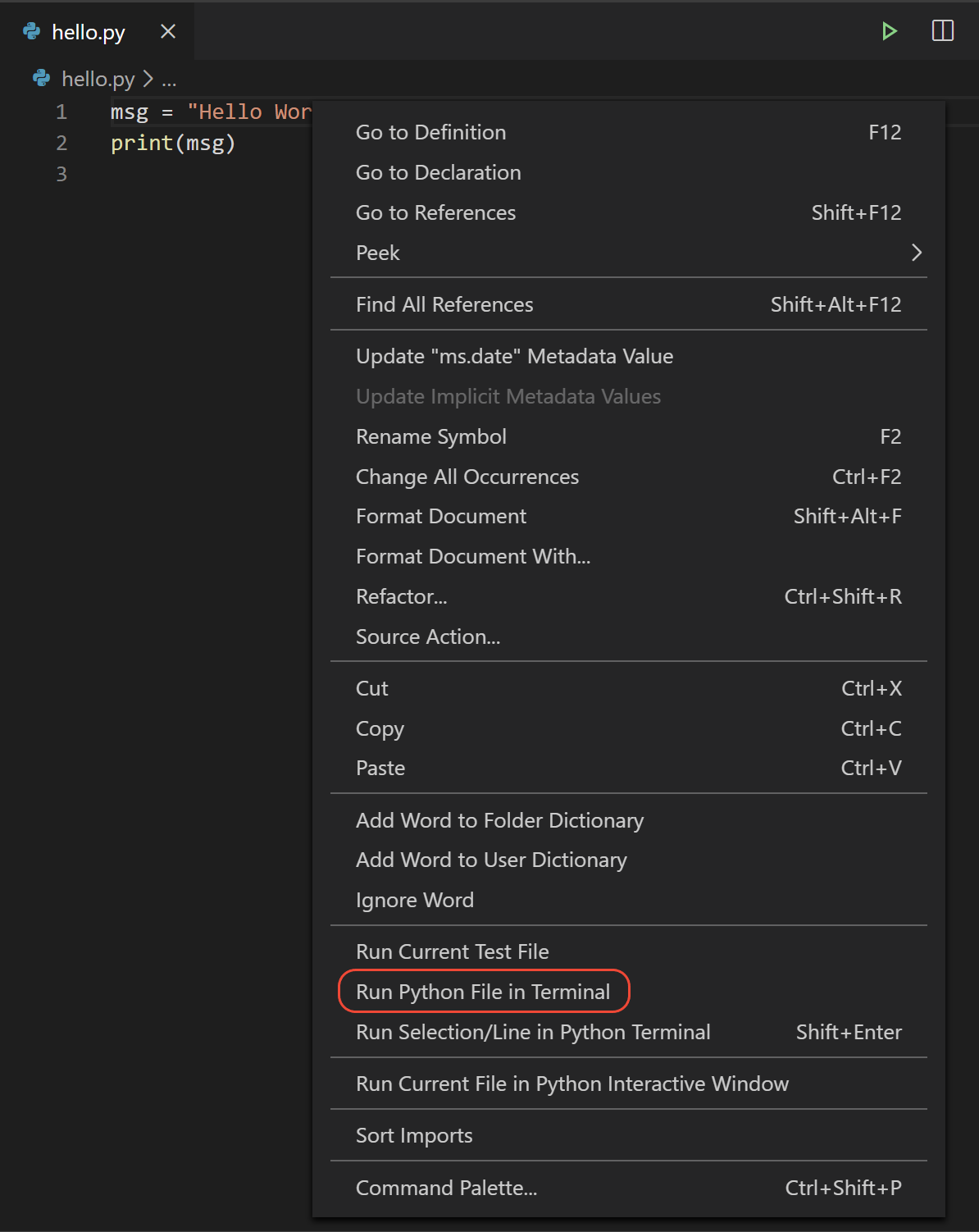 Run Python File in Terminal command in the Python editor