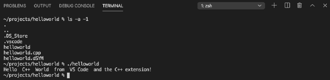 Hello World in macOS terminal