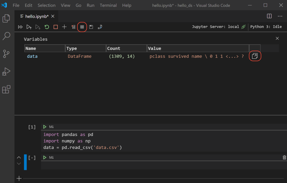 Data viewer and variable explorer