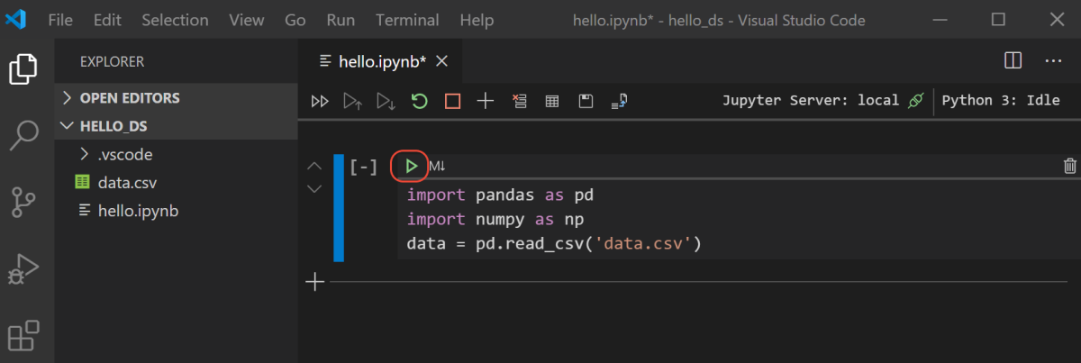 Running a Jupyter notebook cell