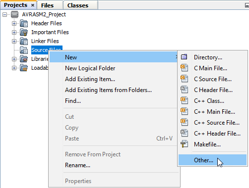 ProjectSourceFiles_NewOther.png