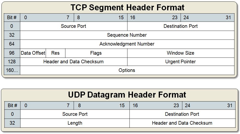 TCP_UDP_headers.JPG
