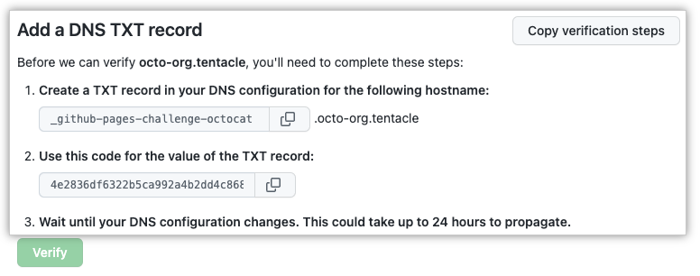 DNS TXT record information on Pages settings
