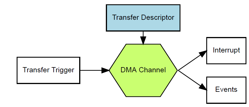 DMA-module-review.PNG