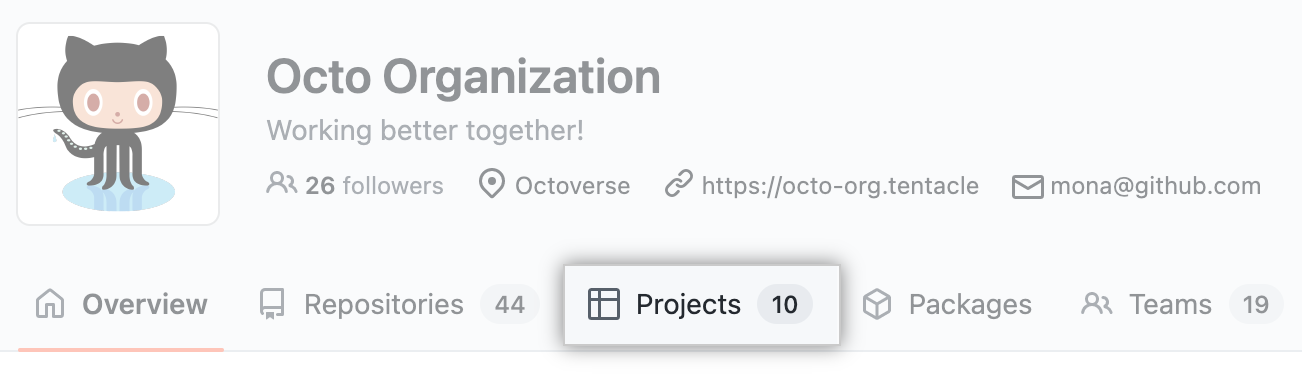 Registerkarte „Projekte“ für deine Organisation