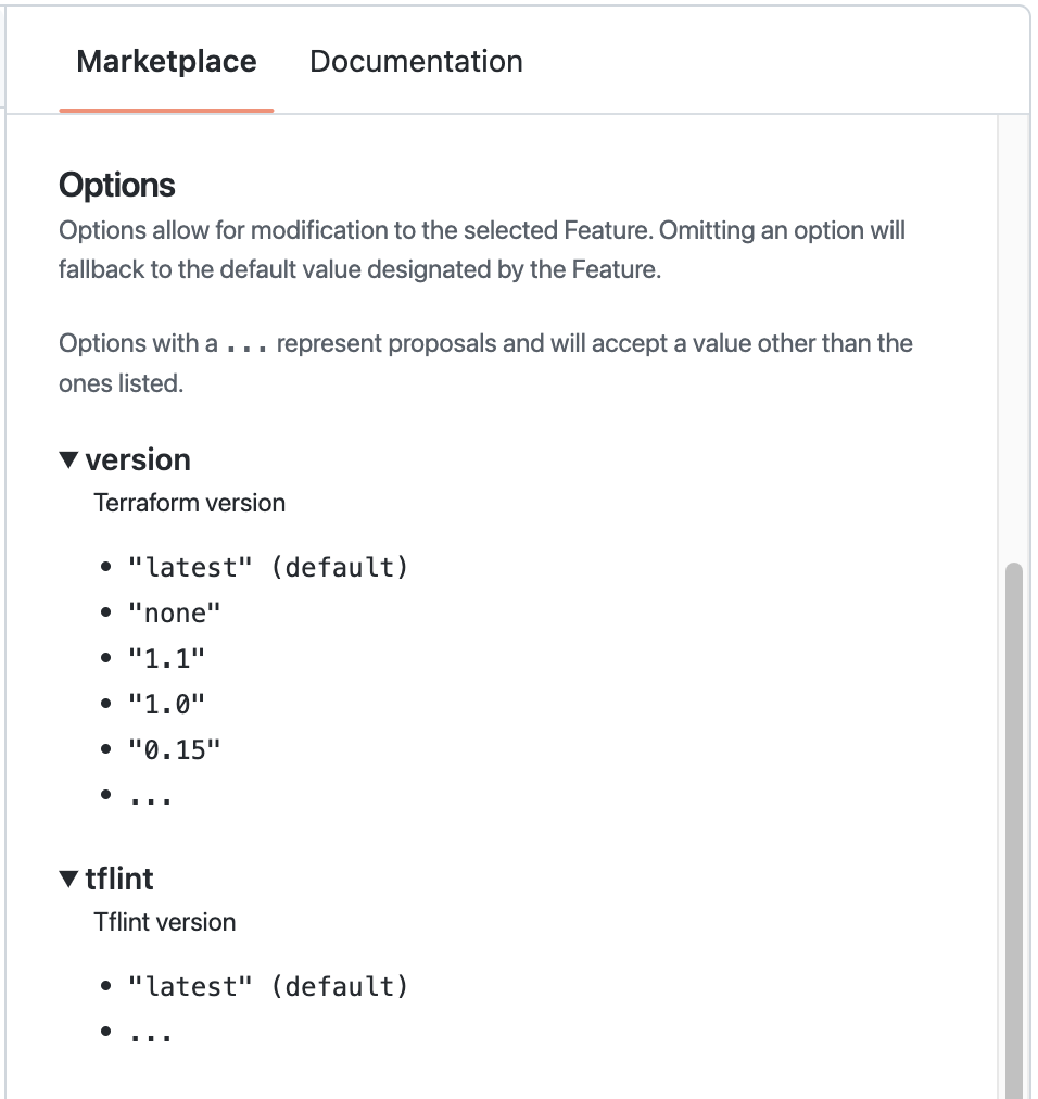 Screenshot of the Options section of the Marketplace tab, with "version" and "tflint" expanded
