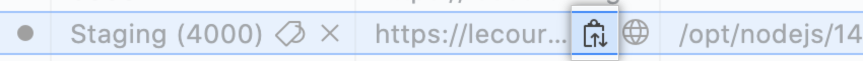 端口 URL 的复制图标的屏幕截图