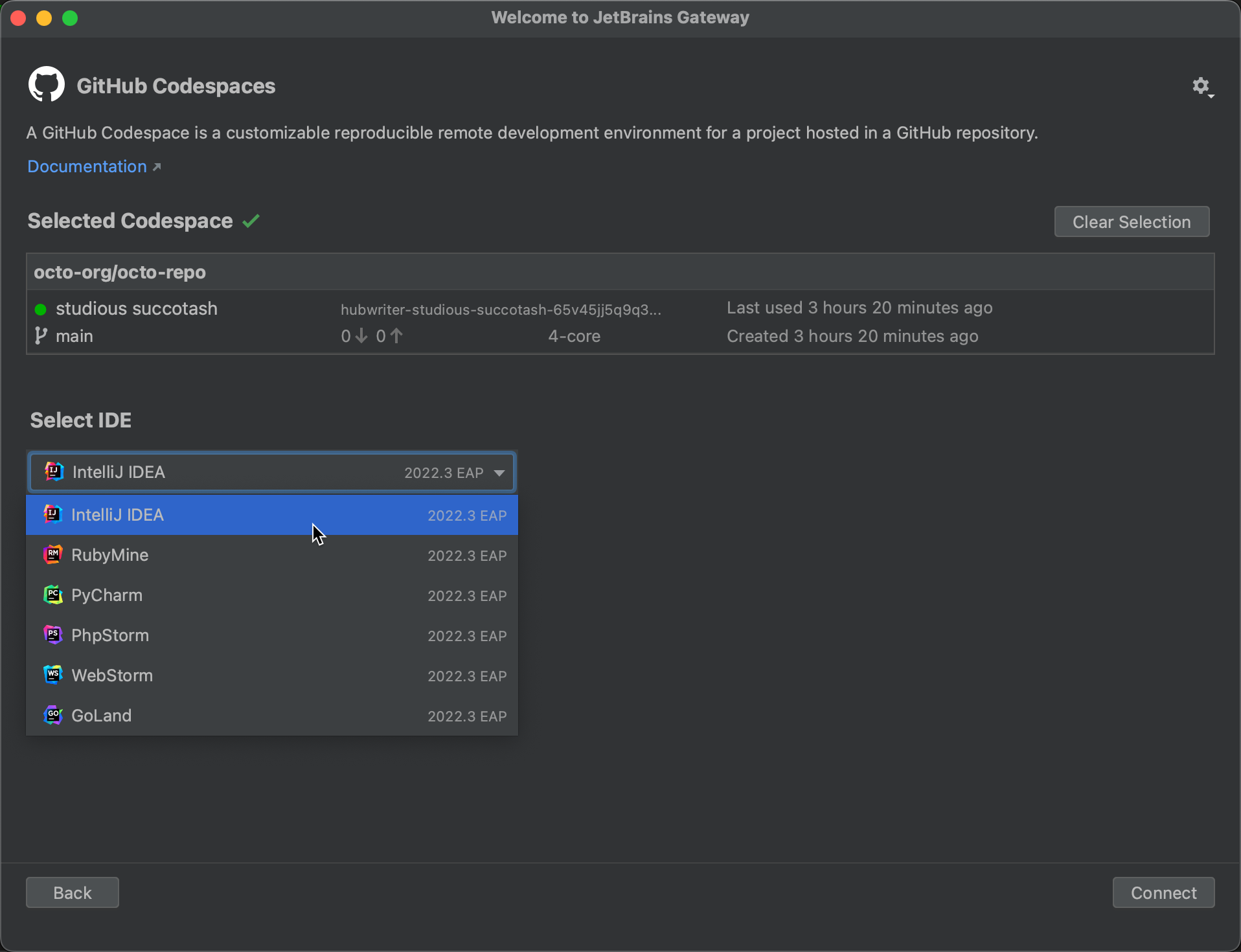 Снимок экрана: список codespace шлюза JetBrains