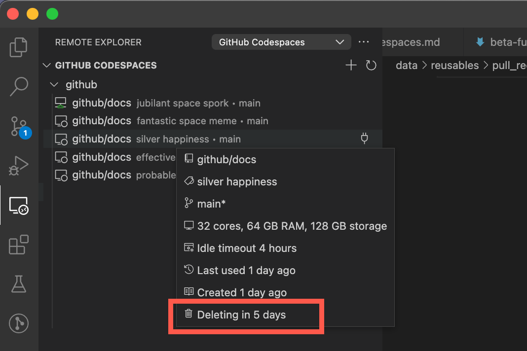 显示了删除前剩余时间的 codespace 信息