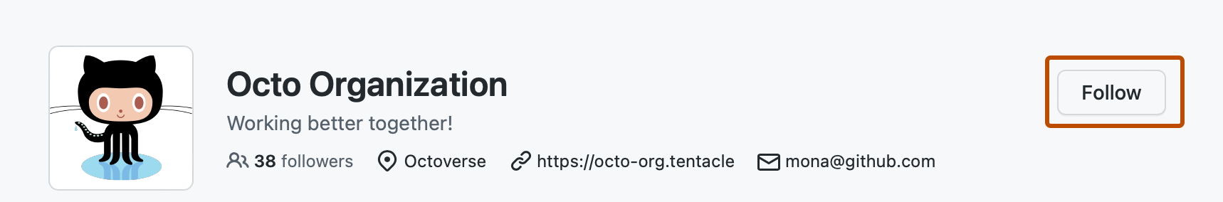 Capture d’écran de la page de profil de @octo-org. Un bouton, intitulé « S’abonner », est indiqué en orange foncé.