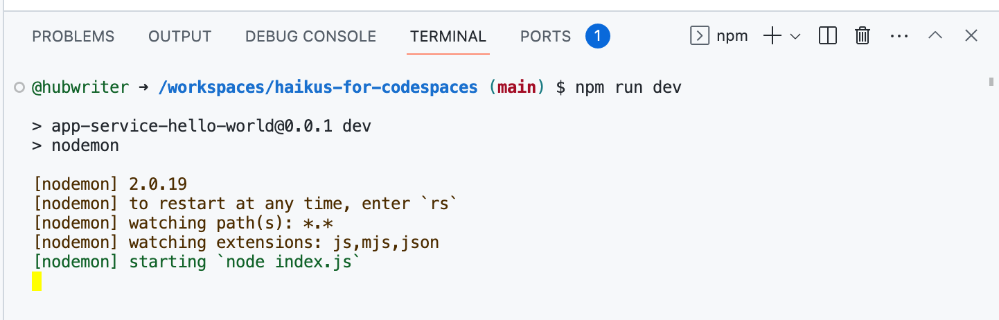 Capture d’écran du terminal dans VS Code avec la commande « npm run dev » entrée.
