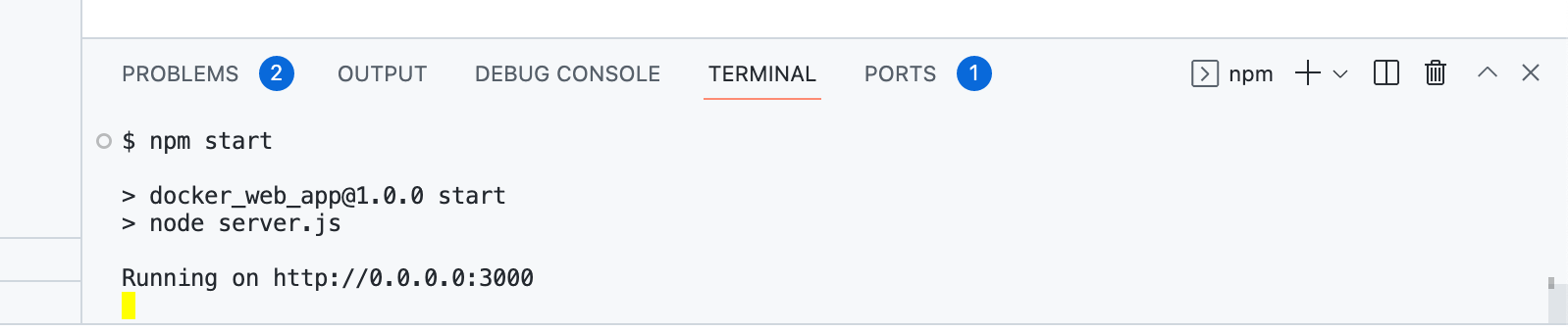 Capture d’écran de l’exécution de « npm start » dans le terminal La sortie finale indique « En cours d’exécution sur http://0.0.0.0:3000 ».