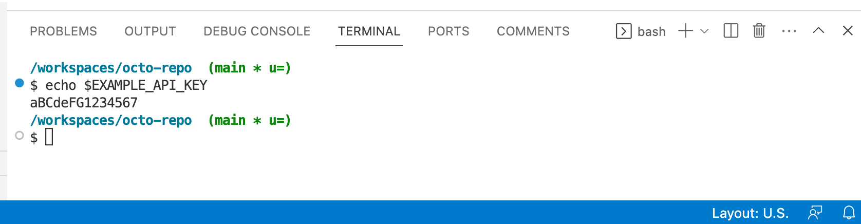 Capture d’écran du terminal dans VS Code. La commande « echo $EXAMPLE_API_KEY » retourne « aBCdeFG1234567 ».