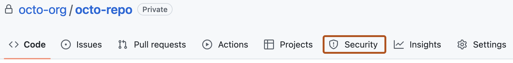 存储库标头的屏幕截图,其中显示了选项卡。 “安全性”选项卡以深橙色边框突出显示。