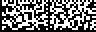 Data Matrix rectangular